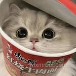 Avatar de Michelle Paredes