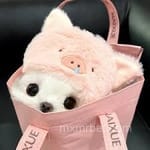 Avatar de Ximena Rojas